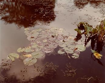 SHORE, STEPHEN (1947- ) Portfolio titled Monets House and Gardens, Giverny, with 14 photographs